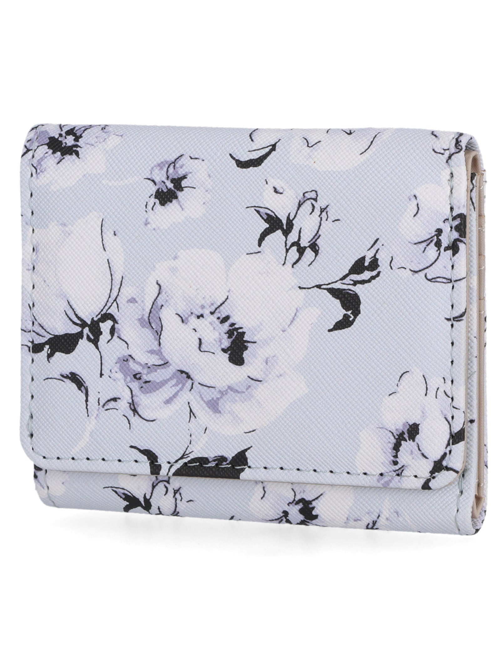 Anna Indexer Wallet